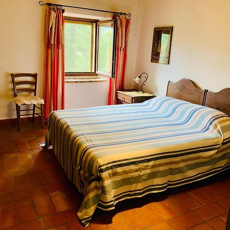 Podere Pinzicalari Bed and Breakfast Castel del Piano  Exterior foto