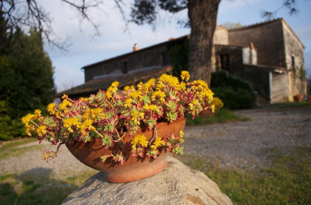 Podere Pinzicalari Bed and Breakfast Castel del Piano  Exterior foto