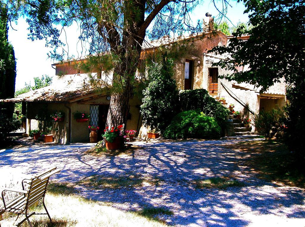 Podere Pinzicalari Bed and Breakfast Castel del Piano  Exterior foto